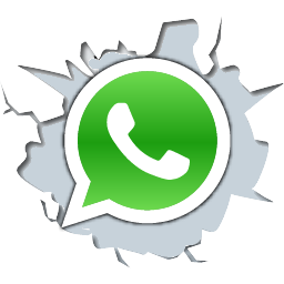 WhatsApp icon